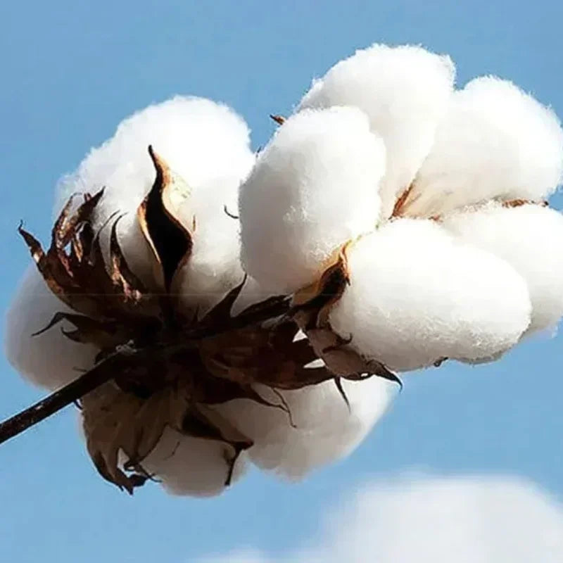 Unisex Y2K Graphic T-Shirt – Casual Summer Short Sleeve Tee